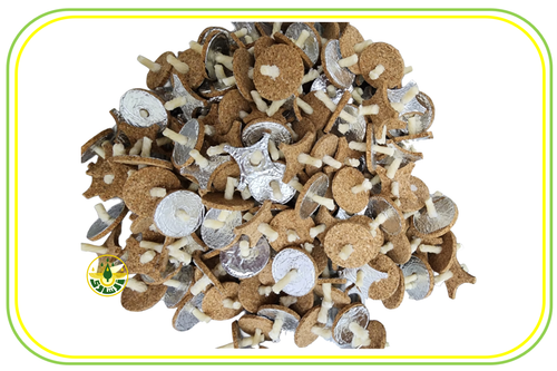 پوزه های چراغ روغنی زرتشتیان